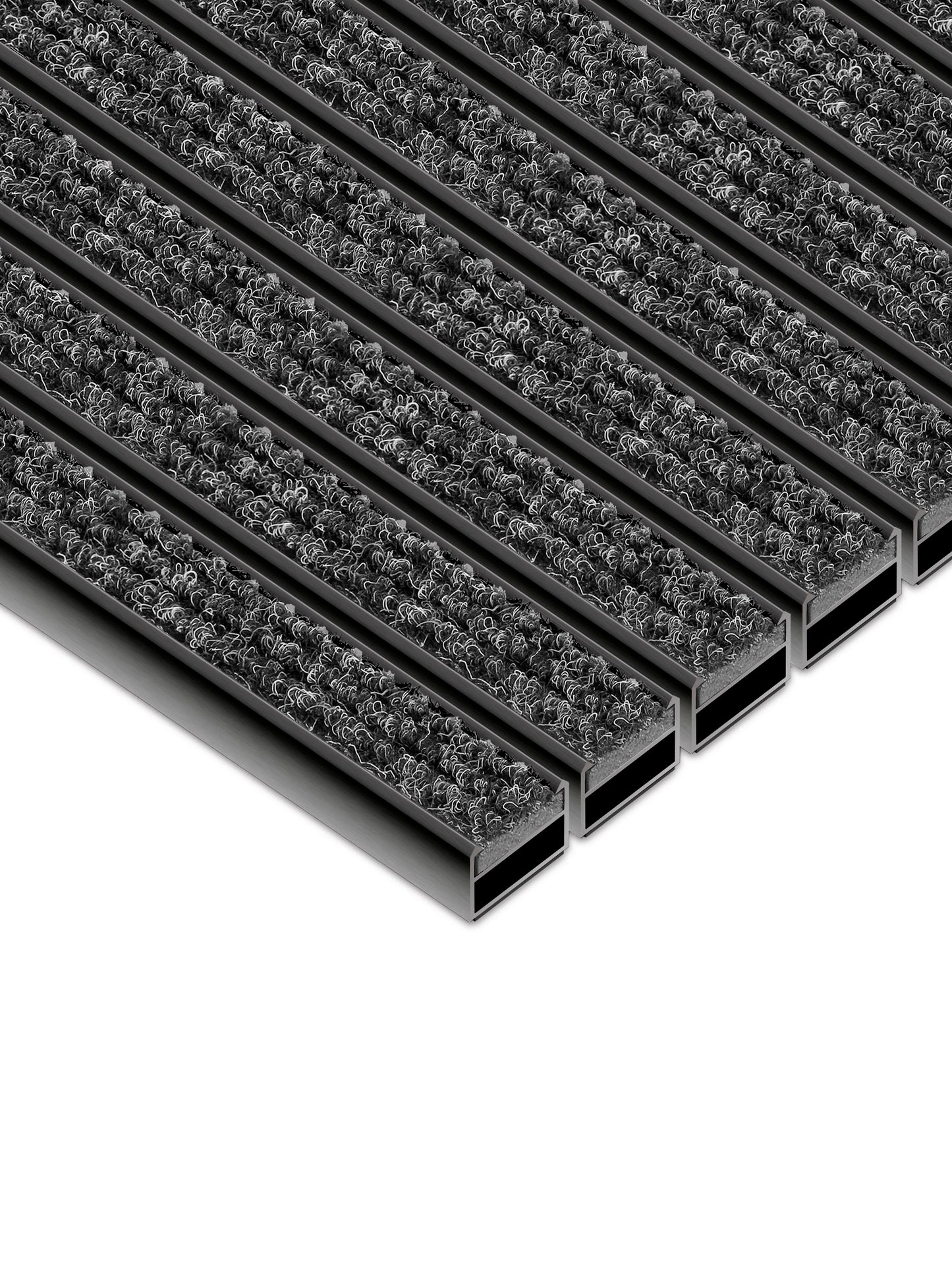 Black Line Clean Rips 17