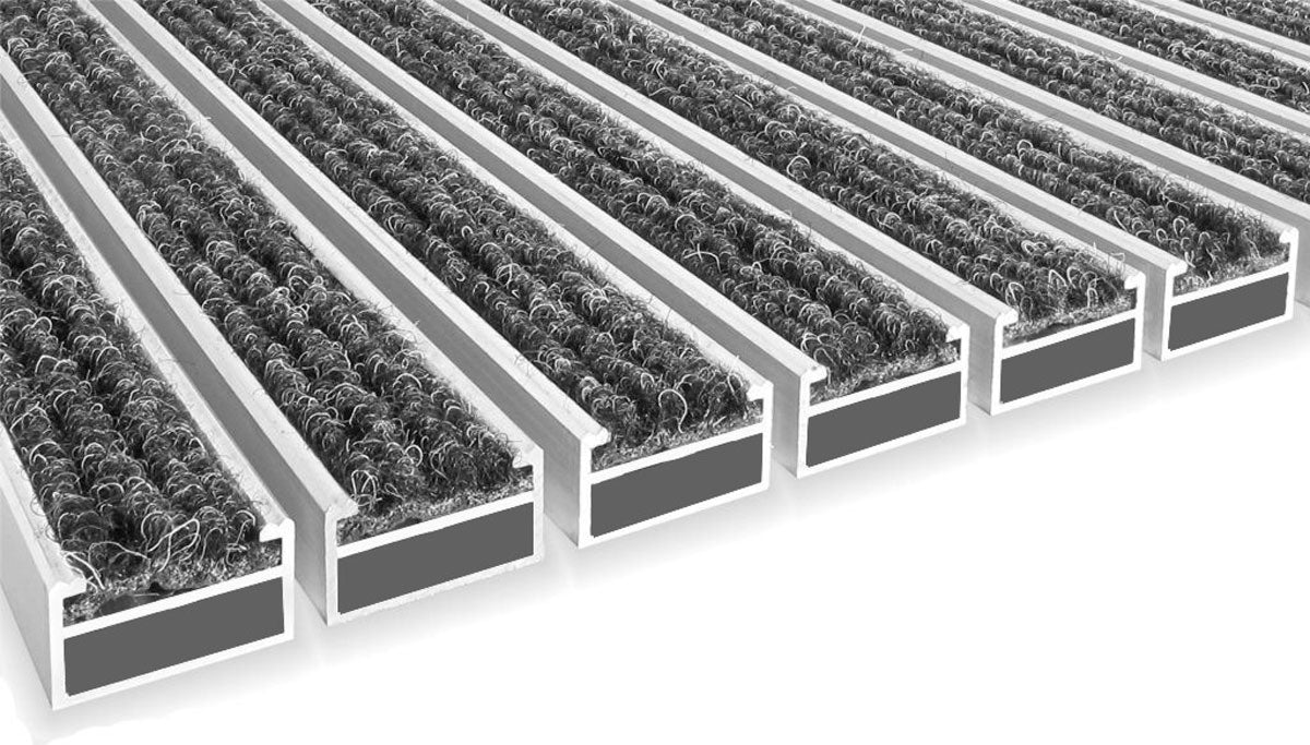 Lignes de base Clean Rips 22